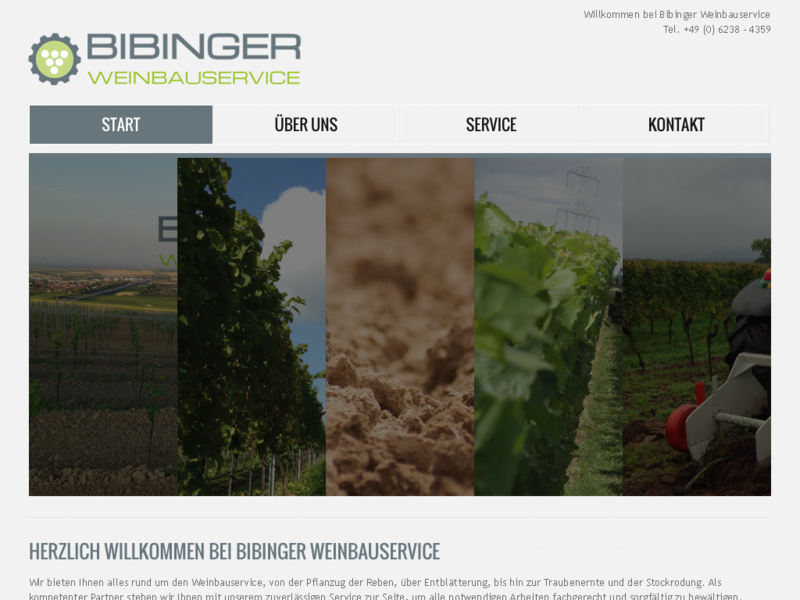 Bibinger Weinbauservice