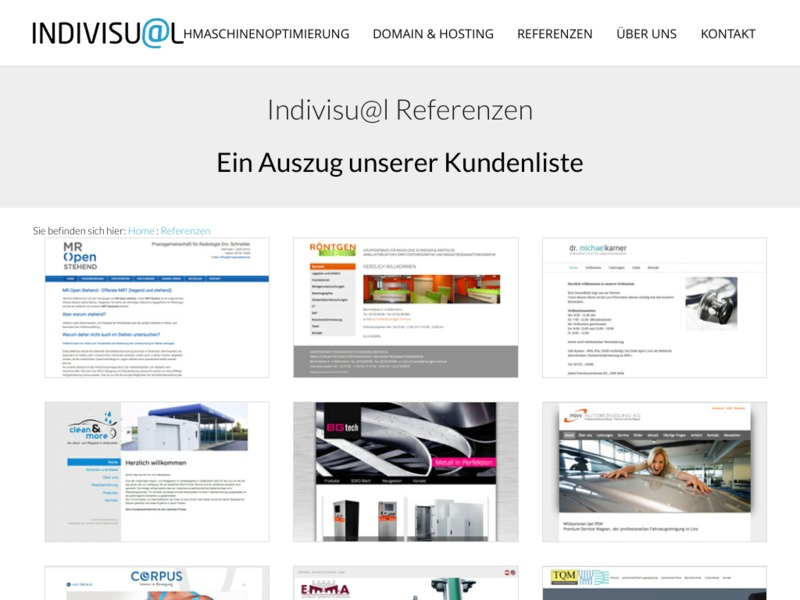 Referenzen der Firma Indivisual Online Media GmbH aus Krems/NÖ